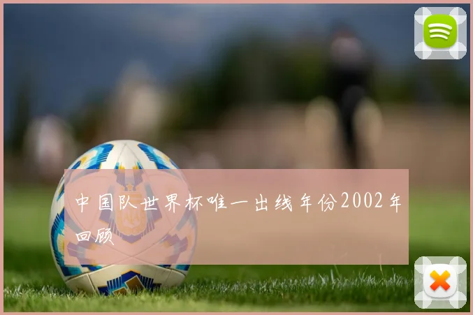 中国队世界杯唯一出线年份2002年回顾