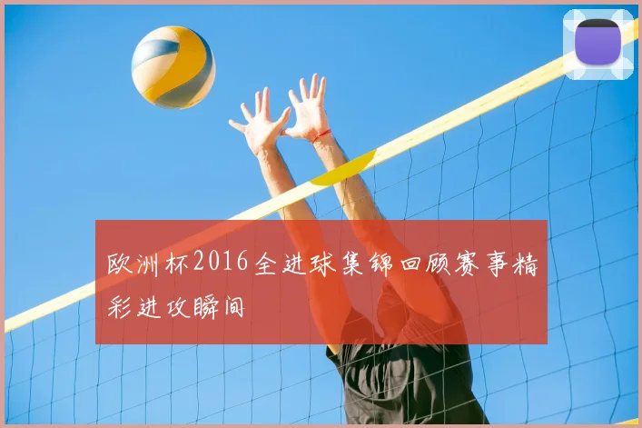 欧洲杯2016全进球集锦回顾赛事精彩进攻瞬间