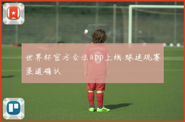 世界杯官方合法app上线 球迷观赛渠道确认