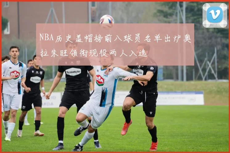 NBA历史盖帽榜前八球员名单出炉奥拉朱旺领衔现役两人入选