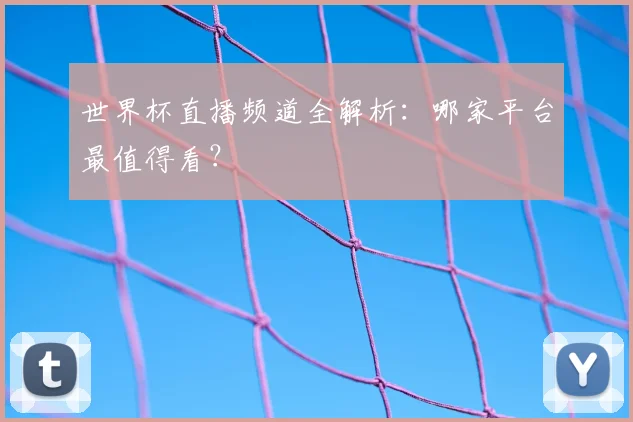 世界杯直播频道全解析:哪家平台最值得看?
