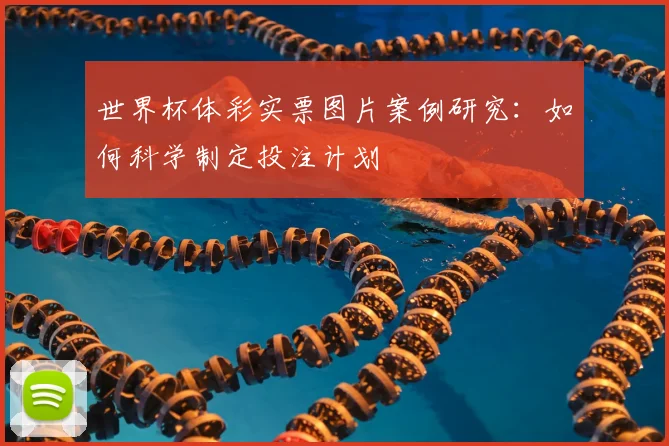 世界杯体彩实票图片案例研究：如何科学制定投注计划