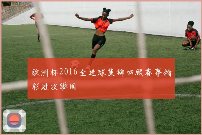 欧洲杯2016全进球集锦回顾赛事精彩进攻瞬间