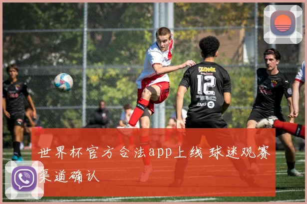 世界杯官方合法app上线 球迷观赛渠道确认