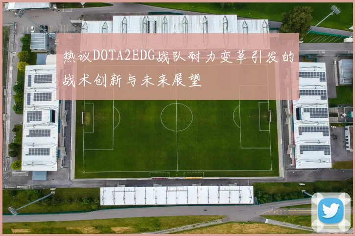 热议DOTA2EDG战队耐力变革引发的战术创新与未来展望