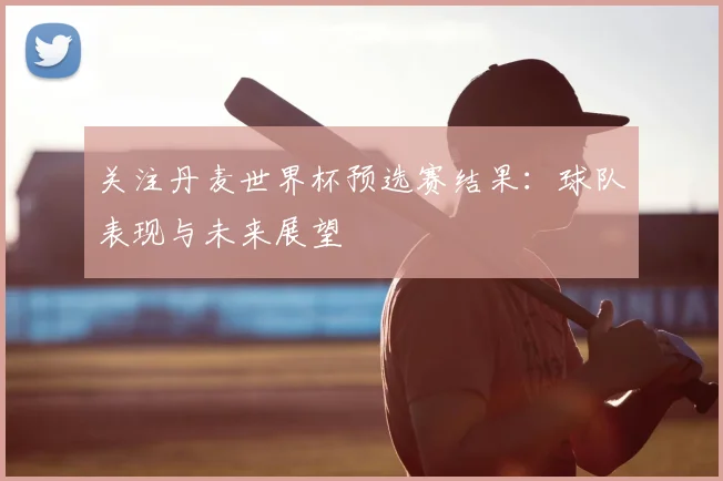 关注丹麦世界杯预选赛结果:球队表现与未来展望