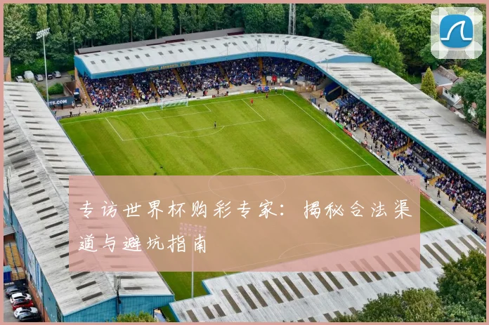 专访世界杯购彩专家:揭秘合法渠道与避坑指南