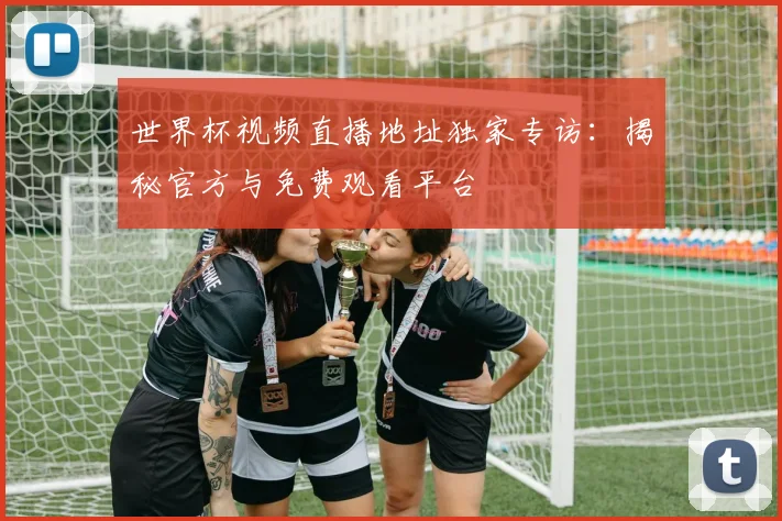 世界杯视频直播地址独家专访：揭秘官方与免费观看平台