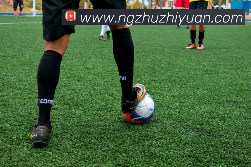 华体会体育全站App